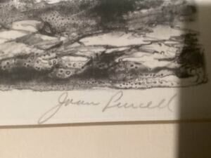 Joan Purcell limited edition